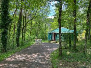 Fotografie z fotogalerie ubytování Yourte Cantal v destinaci Vitrac
