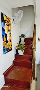 un escalier avec deux plantes en pot et une peinture dans l'établissement Migela Restaurant & Rooms, à Walliwala East