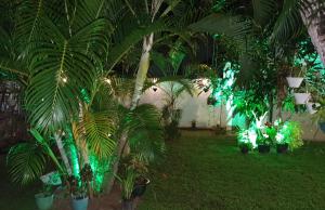 Giardino di Caspian Mirissa