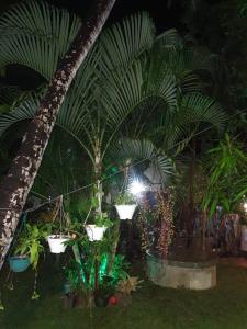 Giardino di Caspian Mirissa