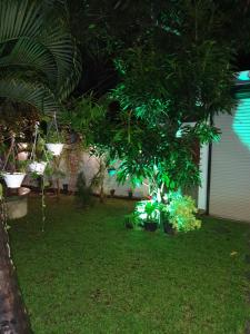 Giardino di Caspian Mirissa