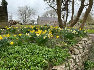 a garden with yellow flowers and a stone wall at Hael Farm Cottage in Swansea