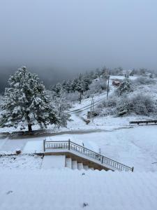 Alafe Relax & View talvel