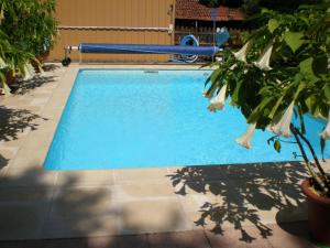a swimming pool in a backyard with a pool at Les BRUGMANSIAS in Biesheim