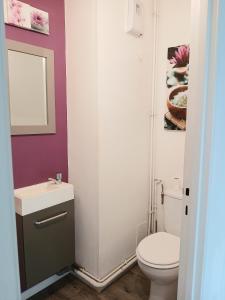 une salle de bain avec toilettes, lavabo et miroir dans l'établissement Charmant T3 aux portes de Bordeaux - 2 chambres, à Lormont 5 autres photos