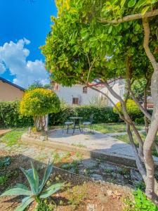 a park with a table and chairs under a tree at Le Oreadi in Agerola +62 photos