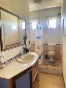 a bathroom with a sink and a toilet at Seahorse Appartments in Grand Baie