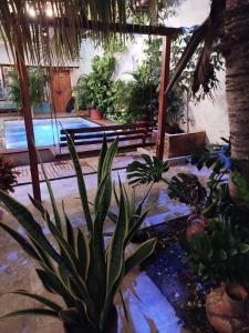 Bazén v ubytování HOSTAL LA BOQUILLA nebo v jeho okolí