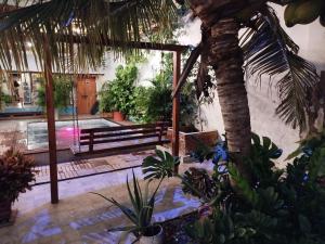 Zahrada ubytování HOSTAL LA BOQUILLA