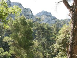 a forest of trees with mountains in the background at CABANE perchée dans les arbres in Robion en Luberon