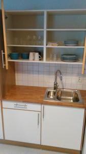 a kitchen counter with a sink and a dishwasher at Lunde Vandrerhjem in Lunde
