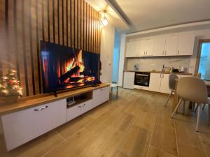 Televízia a/alebo spoločenská miestnosť v ubytovaní Apartman Emilija