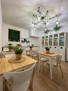 ミラノにあるHome In Town - Home in City Life near San Siro Stadiumの白いキャビネット、テーブル、植物が備わるキッチン