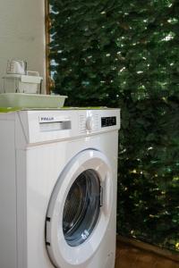 una lavadora blanca junto a una pared verde en Splendori Rooms, en Palermo
