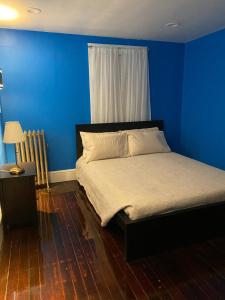 a bedroom with a bed with a blue wall at Mount Pleasant Hideaway in Providence