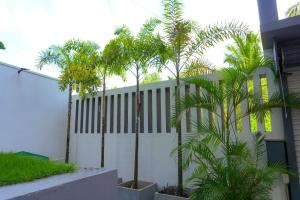 Zahrada ubytování Spacious Eco House with Garden and Scenic Paddy View Colombo