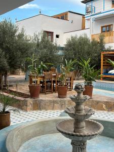 Zahrada ubytování Single fin taghazout surf & stay