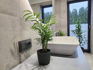 Koupelna v ubytování Villa Rotuz + 29 fotografií