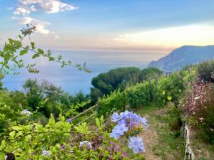 a view of the ocean from a hill with flowers at Villa Pietrafiore in Monterosso al Mare