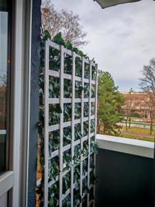 Balkón nebo terasa v ubytování Azulejo Apartment
