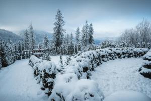 VisitZakopane - Janosik Apartment v zime