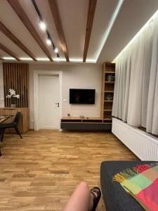 تلفاز و/أو أجهزة ترفيهية في Šumska staza Divčibare apartmani