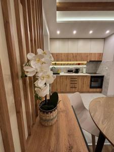 مطبخ أو مطبخ صغير في Šumska staza Divčibare apartmani