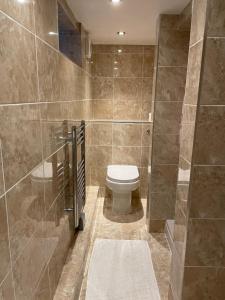 a bathroom with a toilet and a shower at Luxurious Private Retreat Ideal Getaway for two in East Grinstead +17 photos