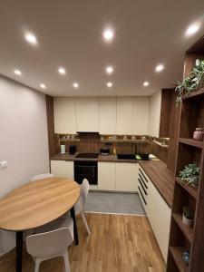 مطبخ أو مطبخ صغير في Šumska staza Divčibare apartmani