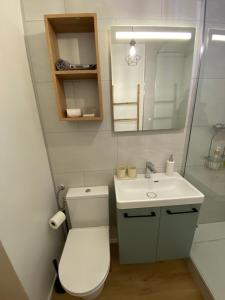 a bathroom with a toilet and a sink and a mirror at Appartement au pied de la Dune et Parking privé in Berck-sur-Mer