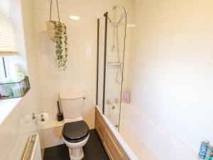 a bathroom with a toilet and a shower at Lavender Cottage in Louth +16 photos