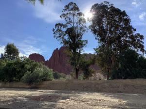 a view of a canyon with trees and a mountain at Rovira Viajes y Turismo in Tupiza