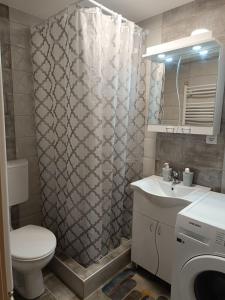 Koupelna v ubytování Luksuzni Apartman Ema 2