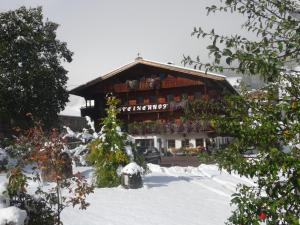 겨울의 Pension Steinerhof