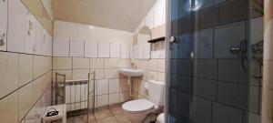 a small bathroom with a toilet and a sink at Pod Zapalenicą w centrum in Szczyrk +32 photos