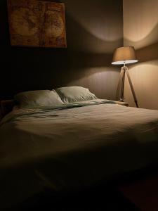 a bed in a dark room with a lamp at Nid des lumières in Bellegarde-sur-Valserine