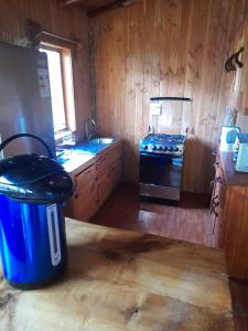 a kitchen with a trash can in the middle of it at cabaña el descanso in Lago Ranco +12 photos