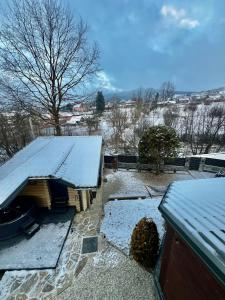 Afbeelding uit fotogalerij van Arnica in Yasinya