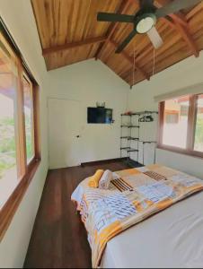 a bedroom with a large bed with a ceiling fan at Villa Carpe Diem in Cocles +11 photos