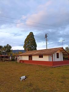 Ảnh trong thư viện ảnh của Alojamiento Los Alpes ở La Calera