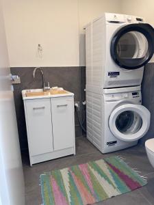 a washing machine and a sink in a bathroom at Casa Delfina in Grosotto