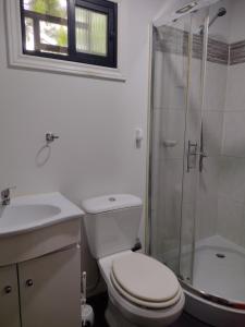 a bathroom with a toilet and a shower and a sink at Casa Módulo Bellavista in Bella Vista