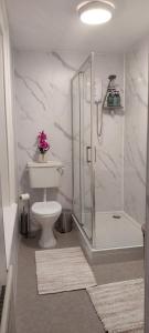 a white bathroom with a shower and a toilet at A Classic Donegal Townhouse in Donegal