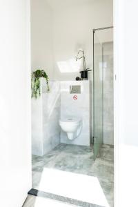 Un baño con inodoro y ducha de cristal. en Spacious Suite w AC, City Center, en Geertruidenberg