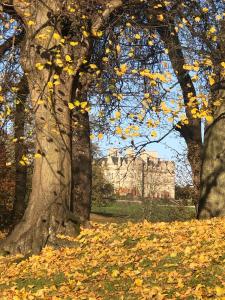 Oak Tree Cottage في Lincolnshire: شجرة بأوراق صفراء أمام القلعة