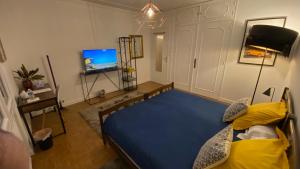 a bedroom with a blue bed and a tv at Casa Lovo in Saint-Laurent-de-Mure