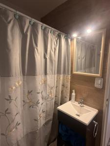 Un baño con cortina de ducha y lavabo. en MONOAMBIENTE VISTA AL RIO, en Florida