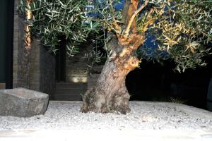 Fotografie z fotogalerie ubytování Olive Charm v destinaci Umag