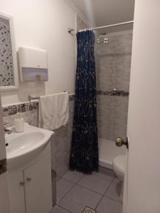 ein Badezimmer mit Duschvorhang und Waschbecken in der Unterkunft Cabaña Patagonia Rustica in Coihaique + 8 Fotos