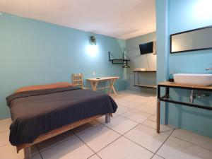 a bedroom with a bed and a sink and a television at Casa Corazon Centro in Oaxaca City